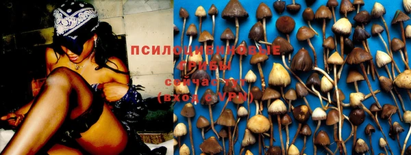 СК Иноземцево